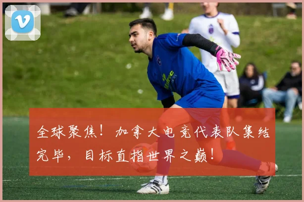 全球聚焦！加拿大电竞代表队集结完毕，目标直指世界之巅！