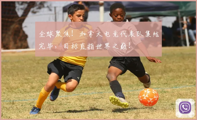 全球聚焦！加拿大电竞代表队集结完毕，目标直指世界之巅！